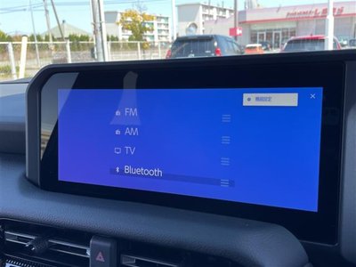 TOYOTA LAND CRUISER 250 - 6