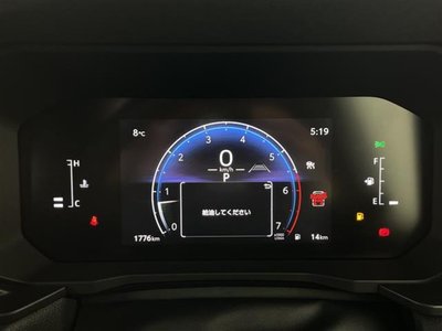 TOYOTA LAND CRUISER 250 - 10
