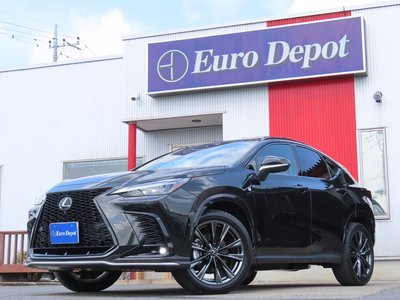 LEXUS NX - 1