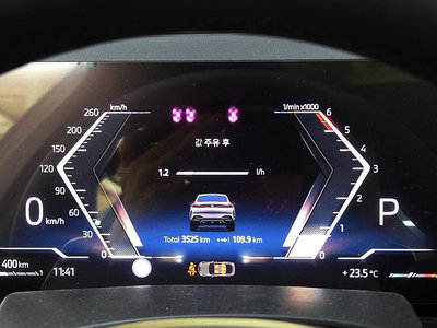 BMW X6 - 8