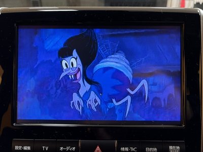 TOYOTA LAND CRUISER 200 - 8