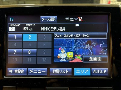 TOYOTA LAND CRUISER 200 - 7