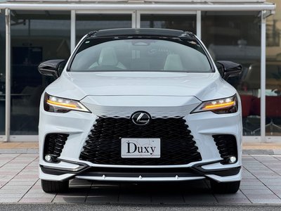 2025 Lexus RX 缩略图 16