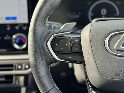 2025 Lexus RX 缩略图 65
