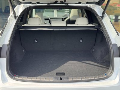 2025 Lexus RX 缩略图 51