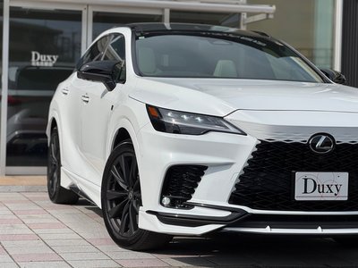 2025 Lexus RX 缩略图 22