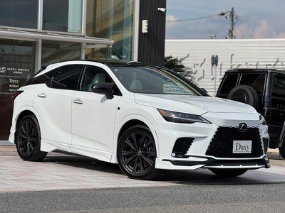 2025 Lexus RX 缩略图 17