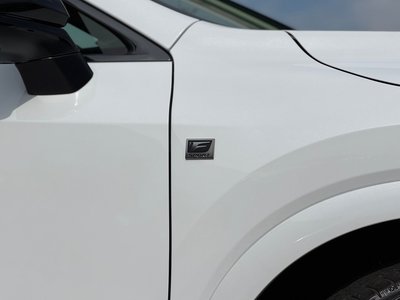 2025 Lexus RX 缩略图 27