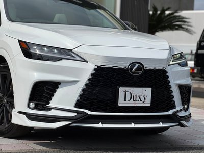 2025 Lexus RX 缩略图 19
