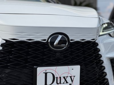 2025 Lexus RX 缩略图 20
