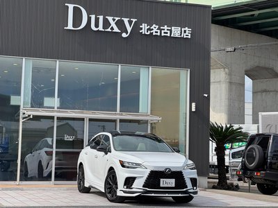 2025 Lexus RX 缩略图 14