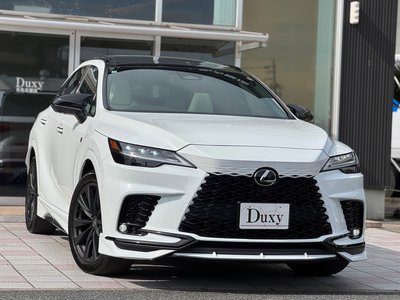2025 Lexus RX 照片 6