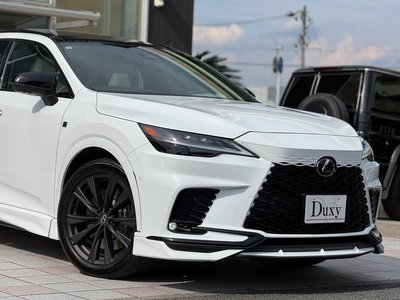 2025 Lexus RX 缩略图 18