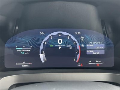 2024 TOYOTA ALPHARD 照片 10