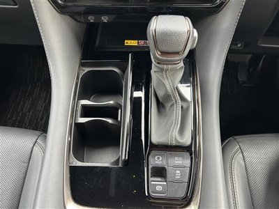 2024 TOYOTA ALPHARD 照片 9