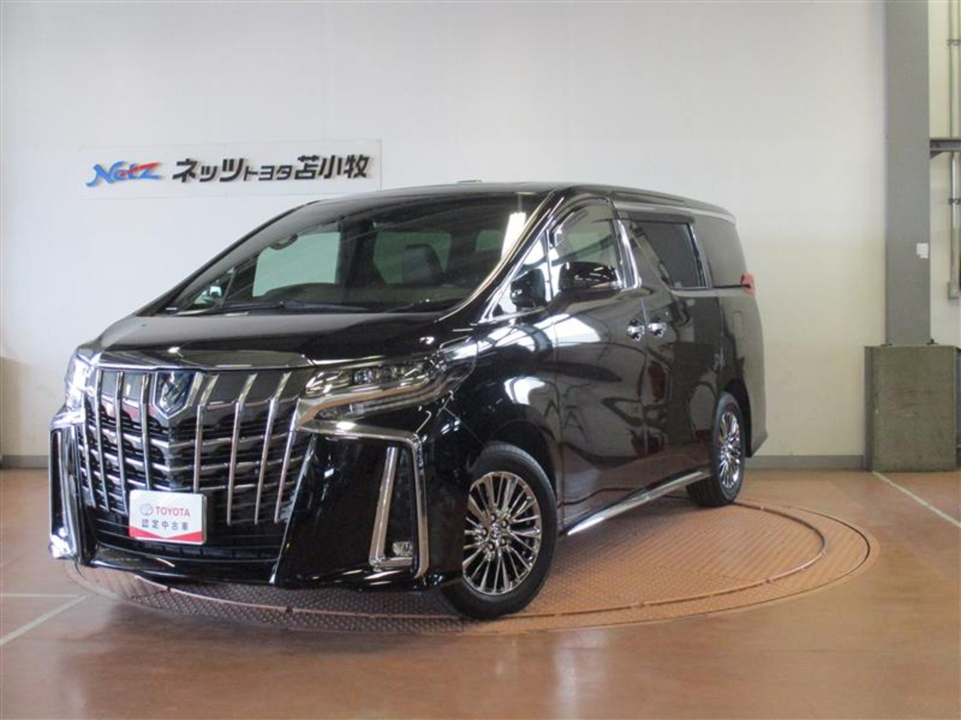 TOYOTA ALPHARD - View 1