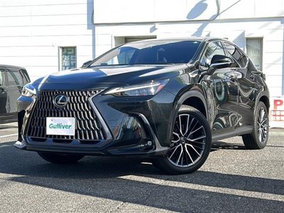 LEXUS NX - 8