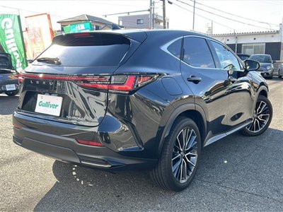 LEXUS NX - 10