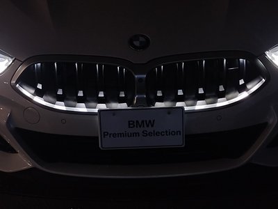2022 BMW 8 SERIES GRAN COUPE — миниатюра 13