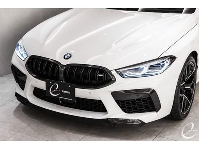 2021 BMW M8 照片 7