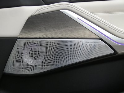 2023 BMW X7 — миниатюра 51