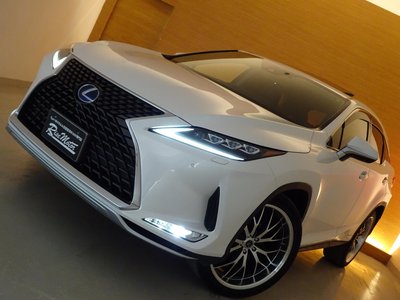 LEXUS RX - 10