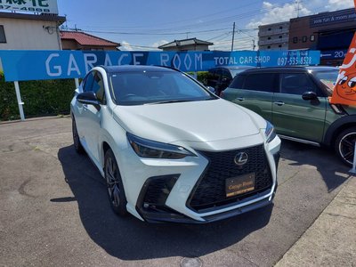 LEXUS NX - 1