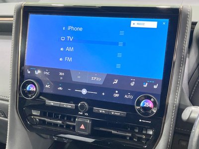 2023 Toyota VELLFIRE 缩略图 50