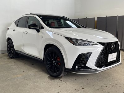 LEXUS NX - 8