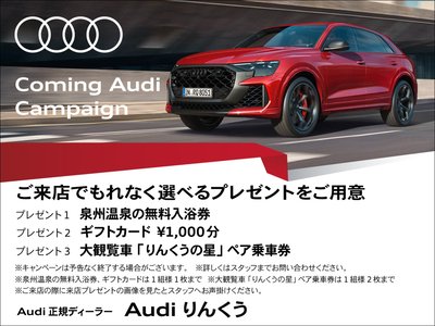 2025 AUDI RS3 SEDAN — миниатюра 66