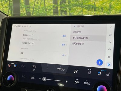 2024 Toyota ALPHARD 缩略图 42