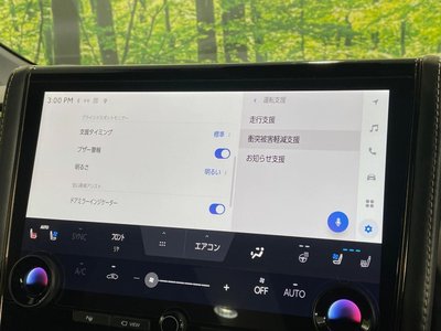2024 Toyota ALPHARD 缩略图 38
