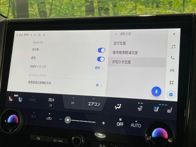 2024 Toyota ALPHARD 缩略图 37