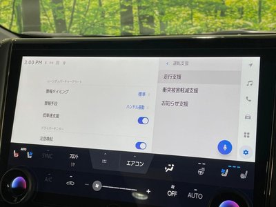 2024 Toyota ALPHARD 缩略图 41
