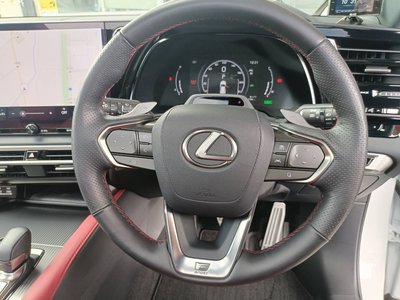 2024 Lexus RX — миниатюра 24