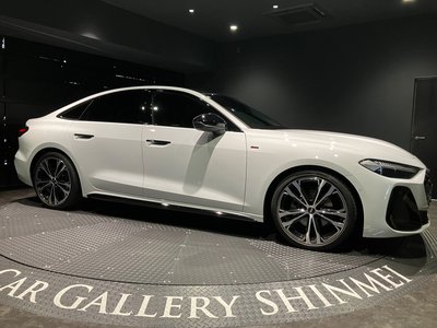 2025 AUDI A5 缩略图 18