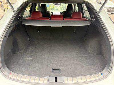 2023 Lexus RX — миниатюра 69