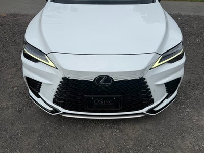 2023 Lexus RX — миниатюра 18