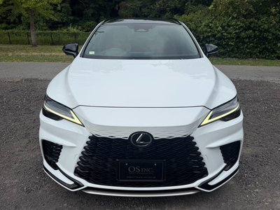 2023 Lexus RX — миниатюра 19