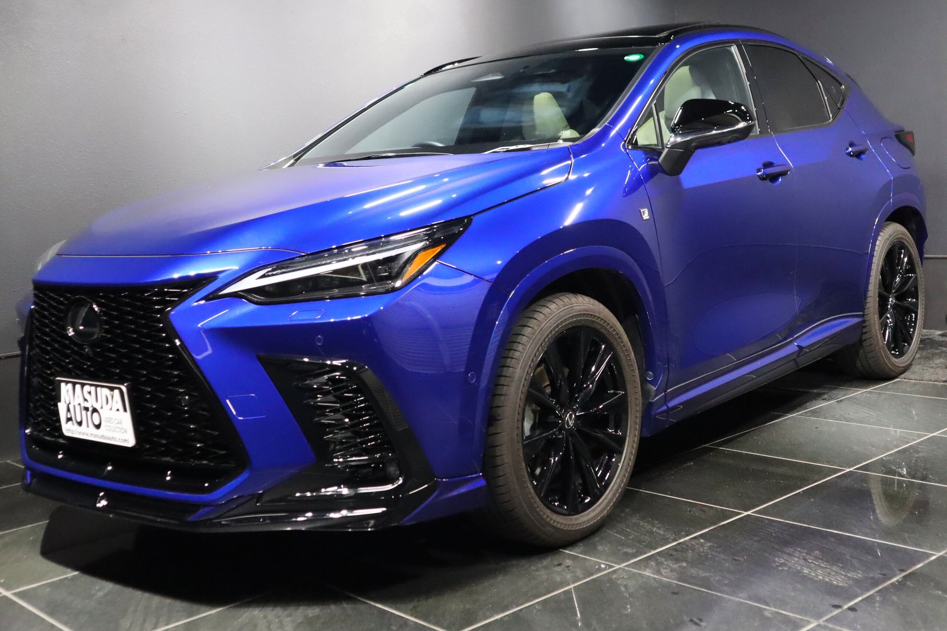LEXUS NX - View 1