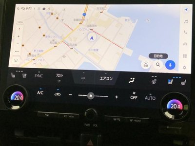 TOYOTA ALPHARD - 10