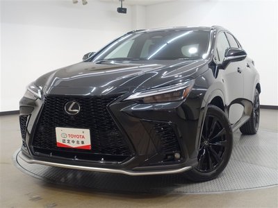 LEXUS NX - 6