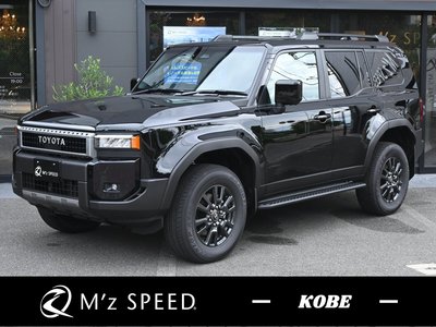 TOYOTA LAND CRUISER 250