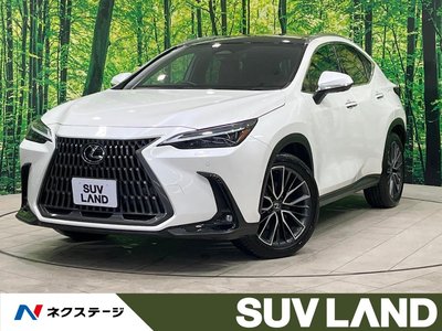 LEXUS NX - 1