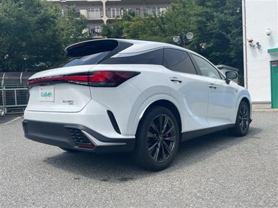 2024 Lexus RX — миниатюра 25