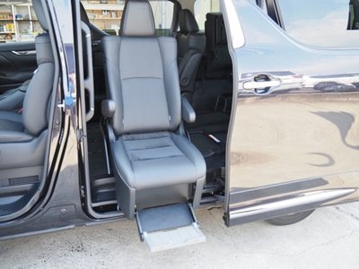 2020 Toyota ALPHARD — миниатюра 25