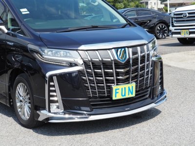 2020 Toyota ALPHARD — миниатюра 11