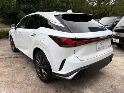 2025 Lexus RX — фото 7