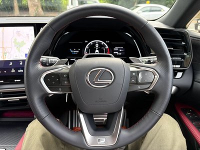 2025 Lexus RX — миниатюра 20