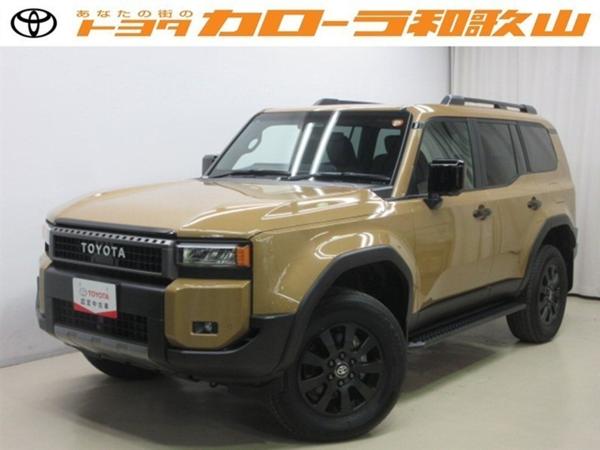 TOYOTA LAND CRUISER 250 - View 1